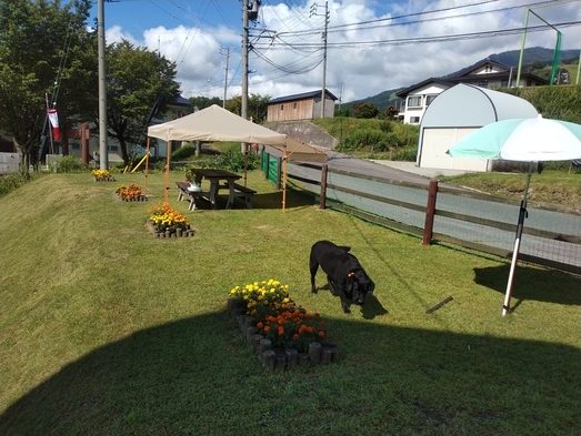 　ドッグランオープン！！宿泊者限定400㎡の天然芝でワンちゃんと思いっきり遊ぼう！